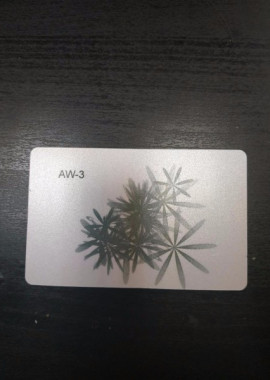 AW-3 «Дороги, транспорт, поездки, перемещения» 