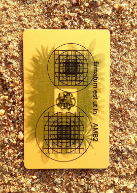 Карта АМБ2 + Пандора