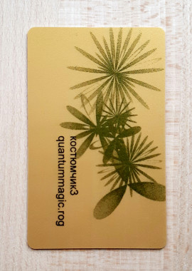 Костюмчик 3