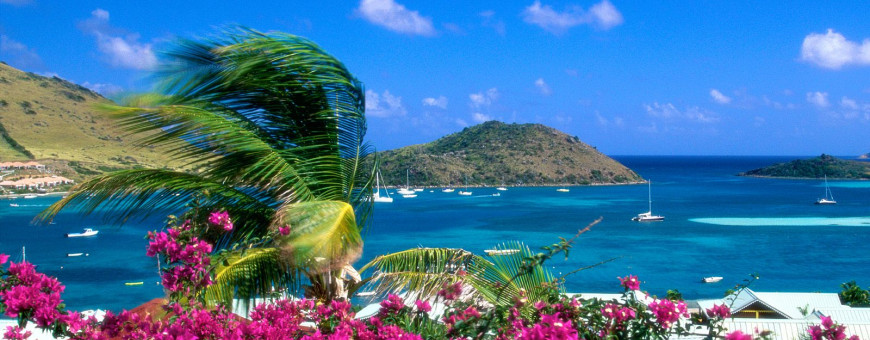 Распродажа браслетов жизни QuantumMagic