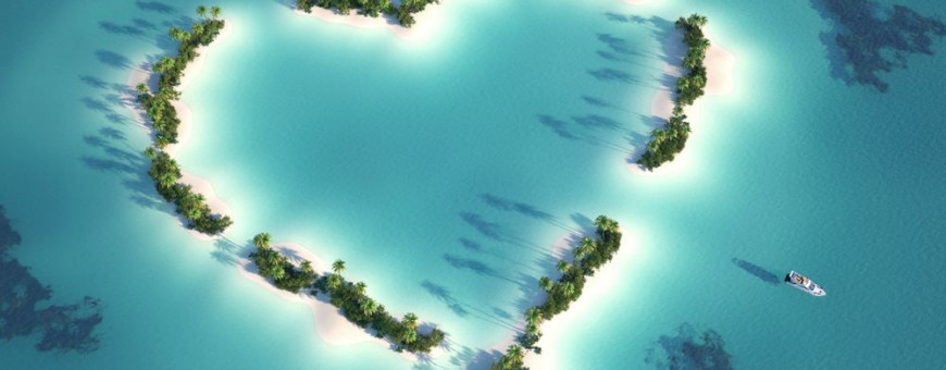 Светличная живая  встреча  в Санкт-Петербурге 25.11.2023!