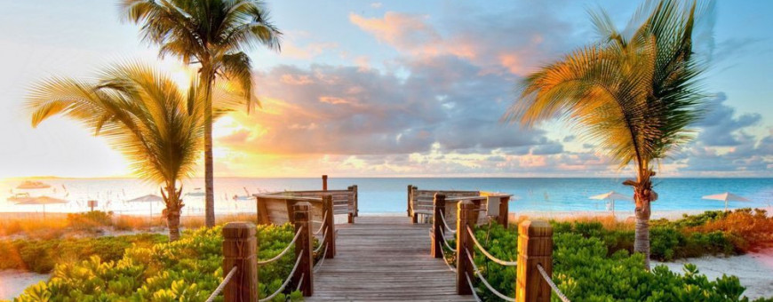 Канал U-magica.biz в telegram