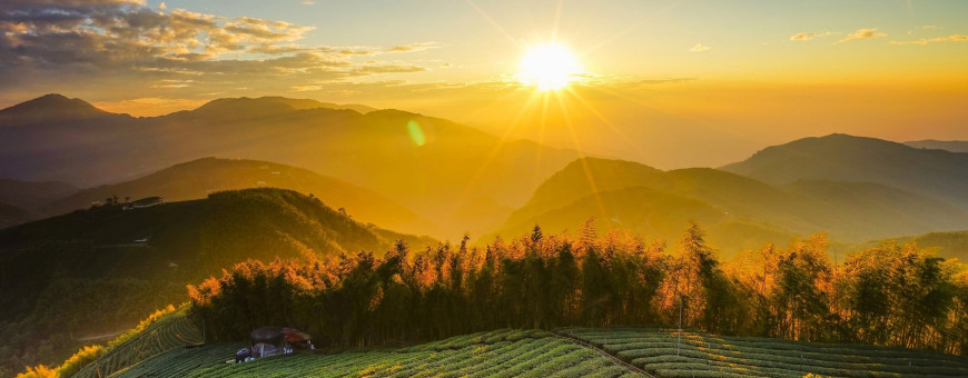 С 8го пересчитаем прайсы исходя из изменения 85-98